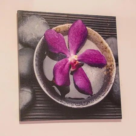 Adela - Znjan * 斯普利特