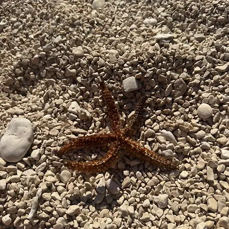 公寓 Adela - Znjan 斯普利特