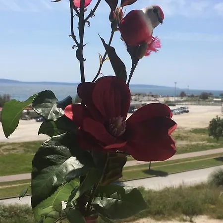 Apartment Adela Apartments - Beach Znjan Split